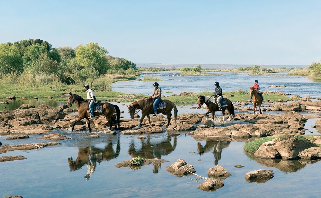 Horseback Ride